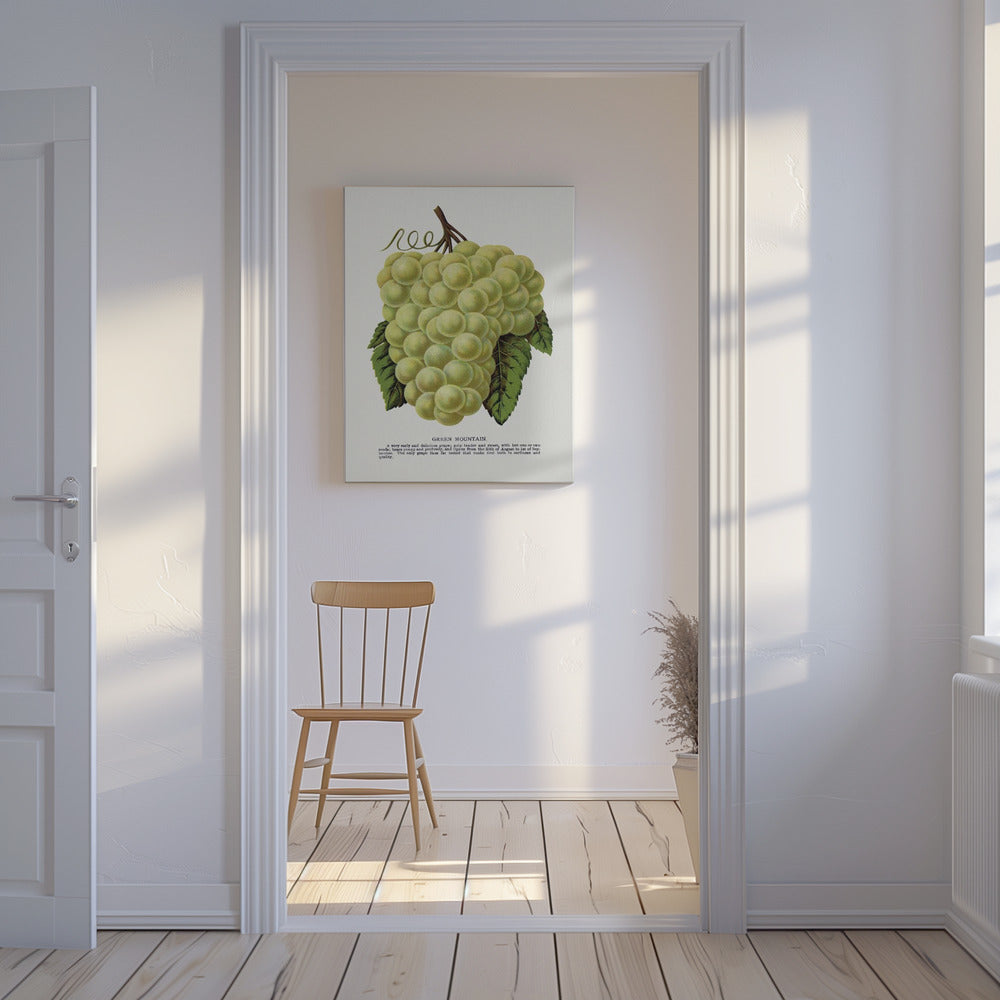 Green Mountain Grape Lithograph | Canvas