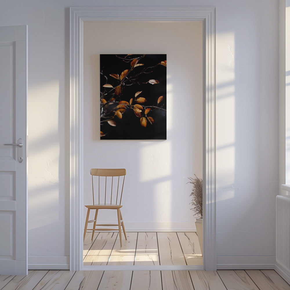 Autumn Leaves 15 | Canvas