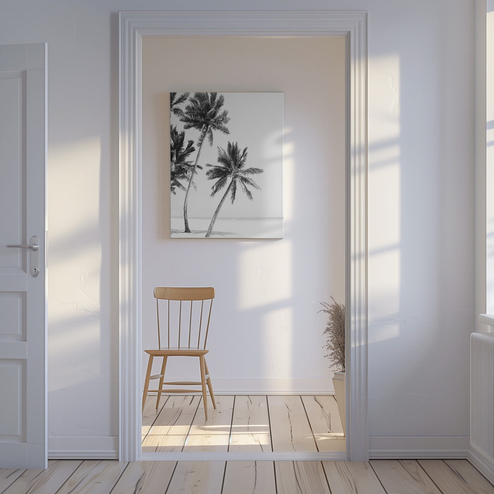 Island | Canvas