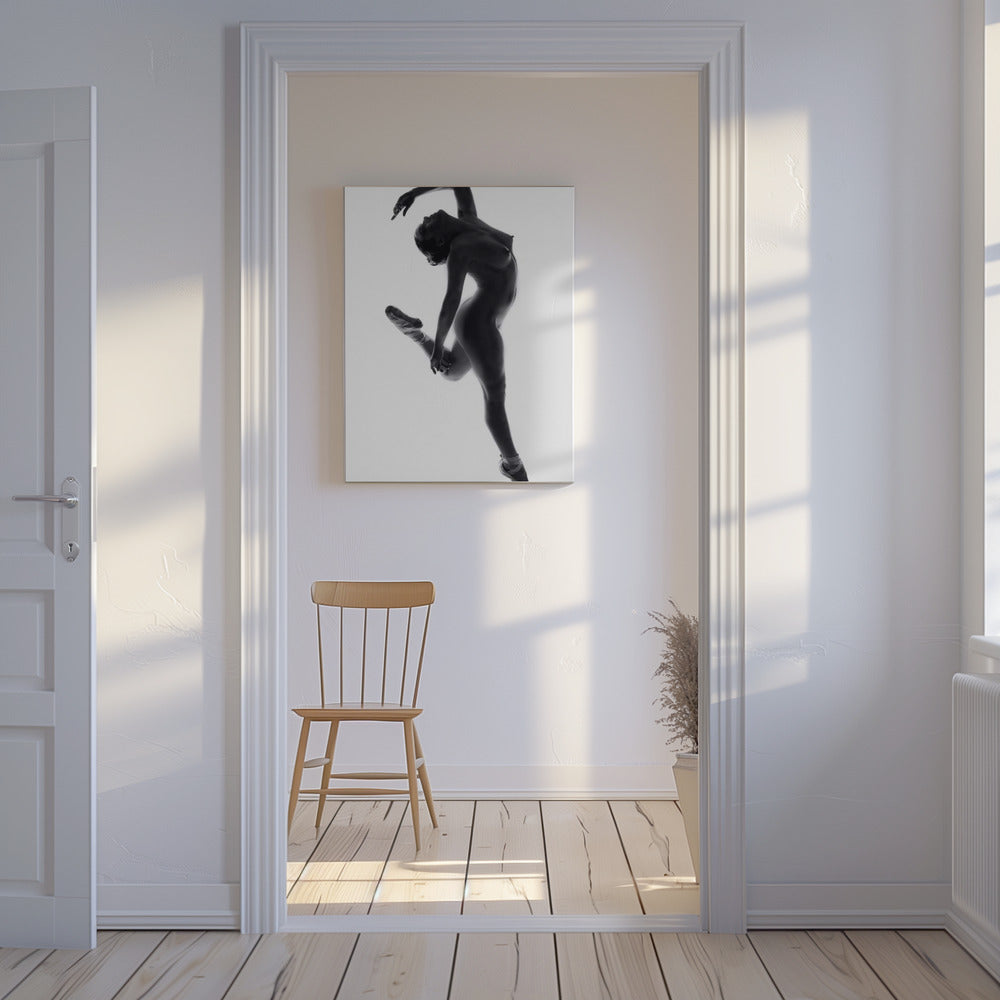 Fine Art Dance ... | Canvas