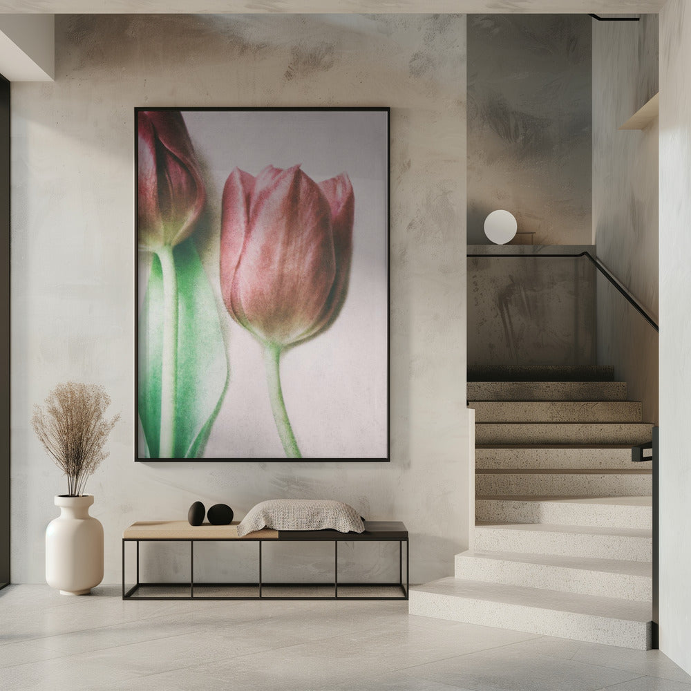 The Spring Lovers | Poster