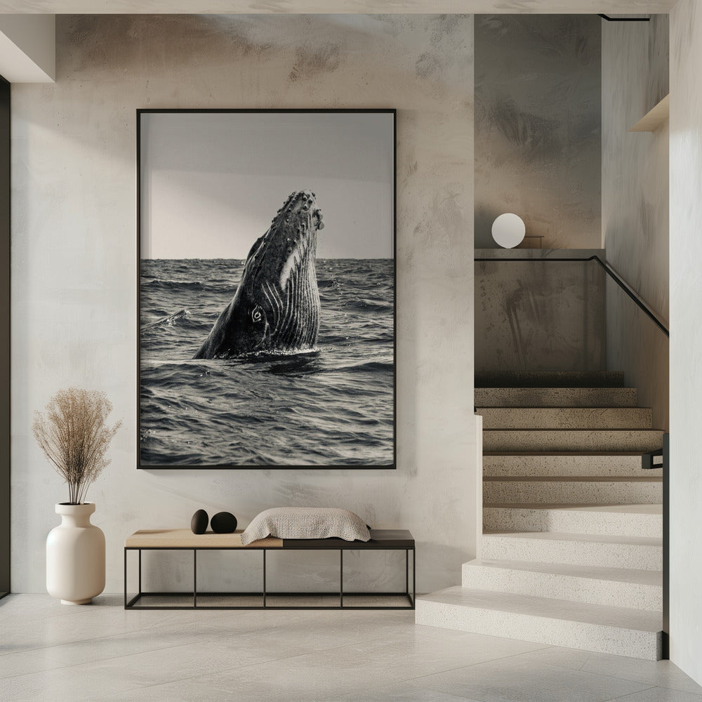 Secret of Whale | Poster