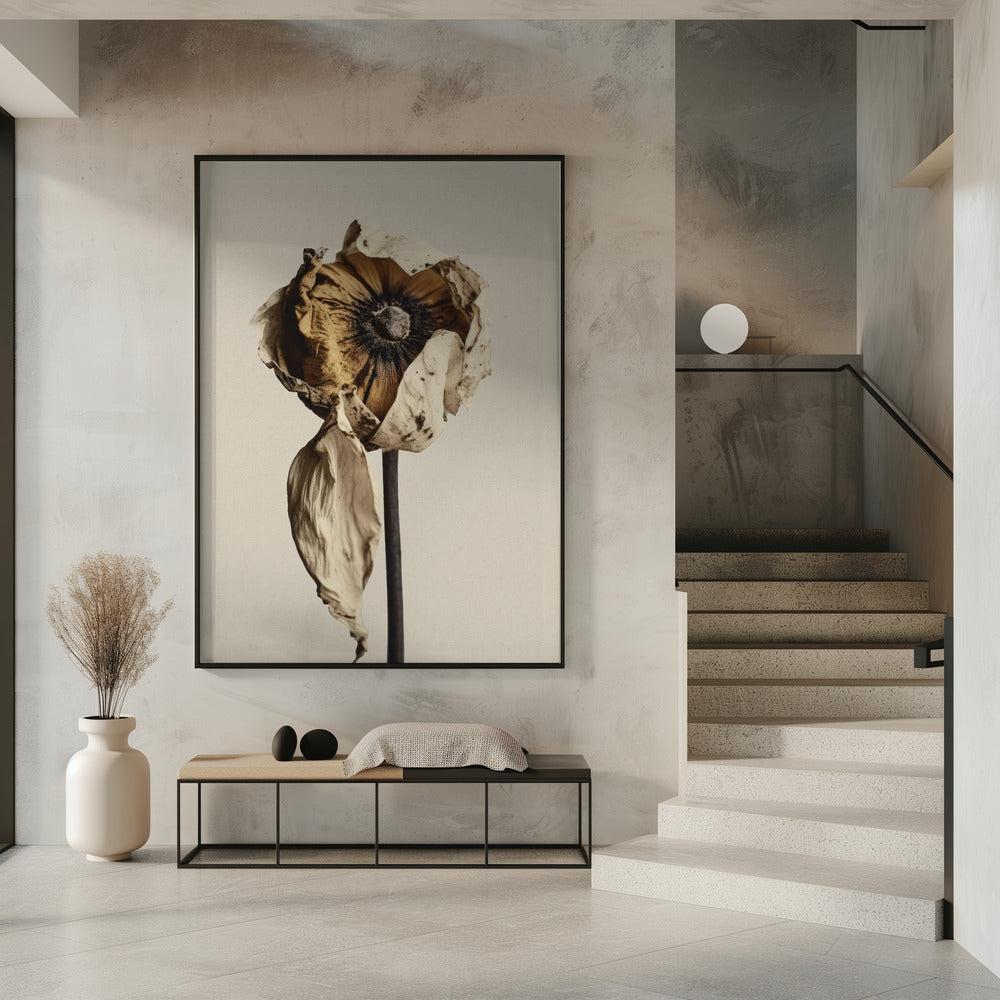 Fading Elegance | Poster