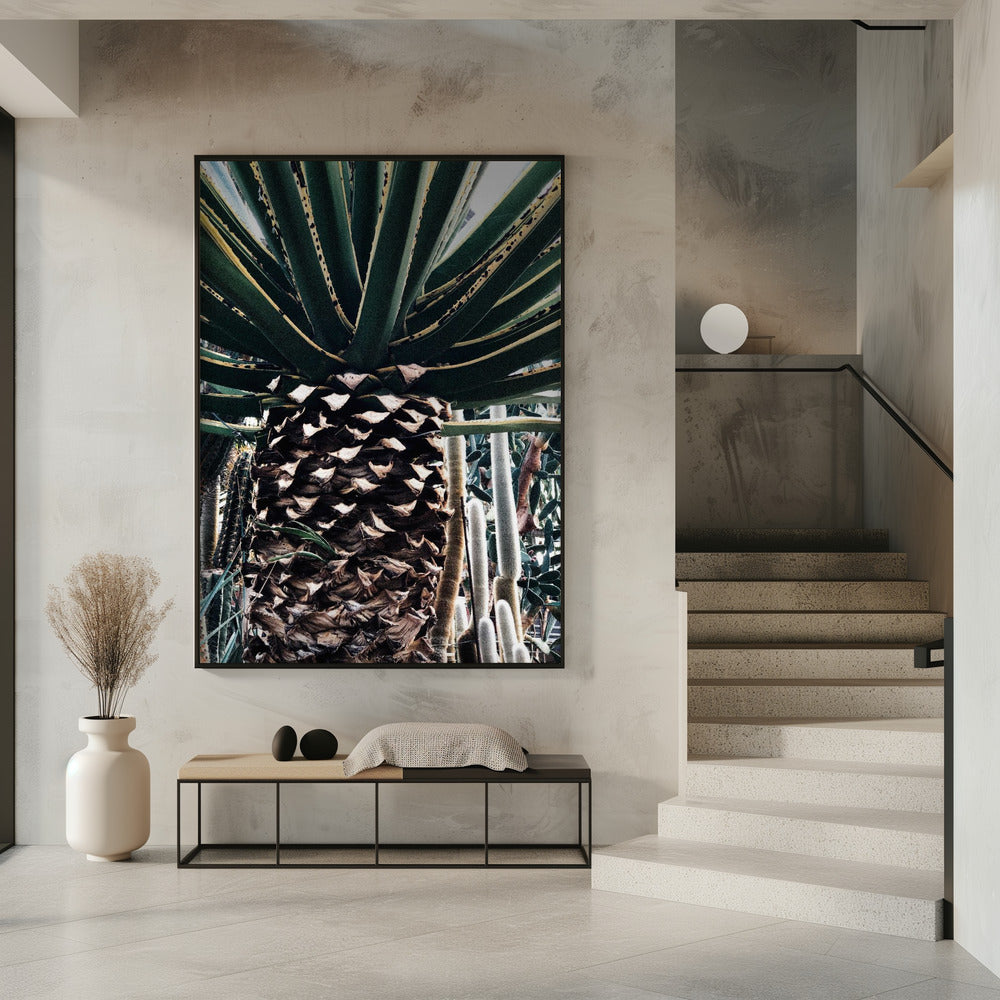 Cactus Plant | Poster