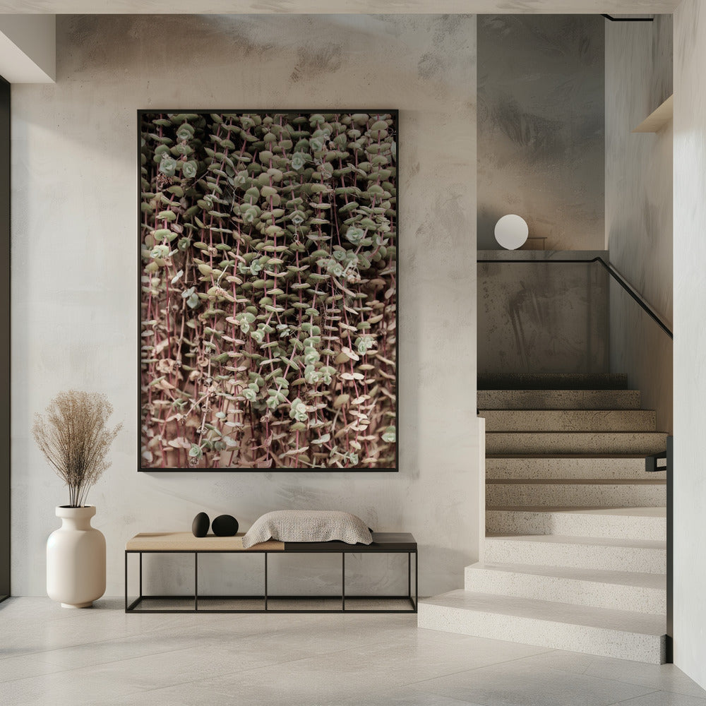 Succulent Symphony | Poster
