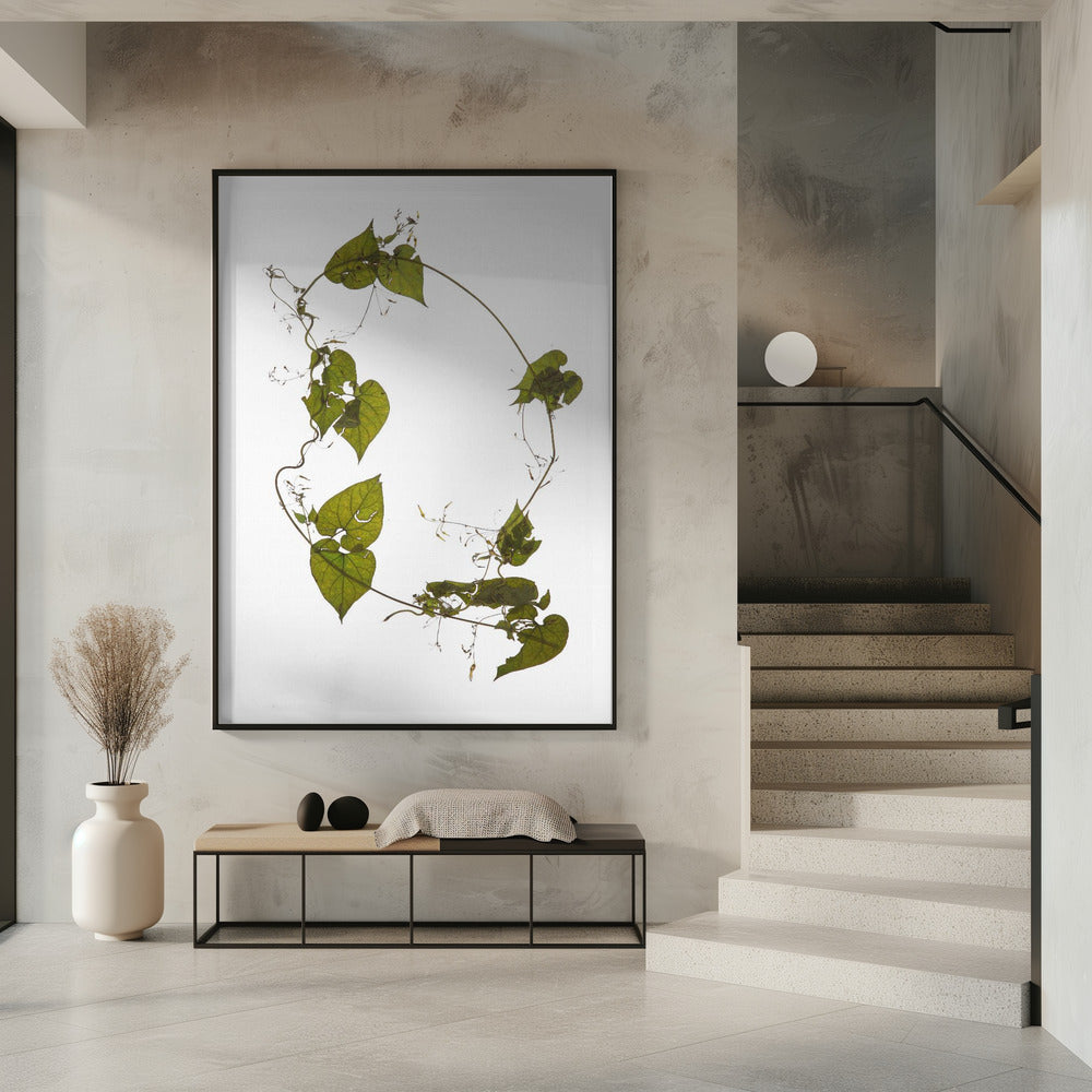 Leafy Circle Dance | Poster