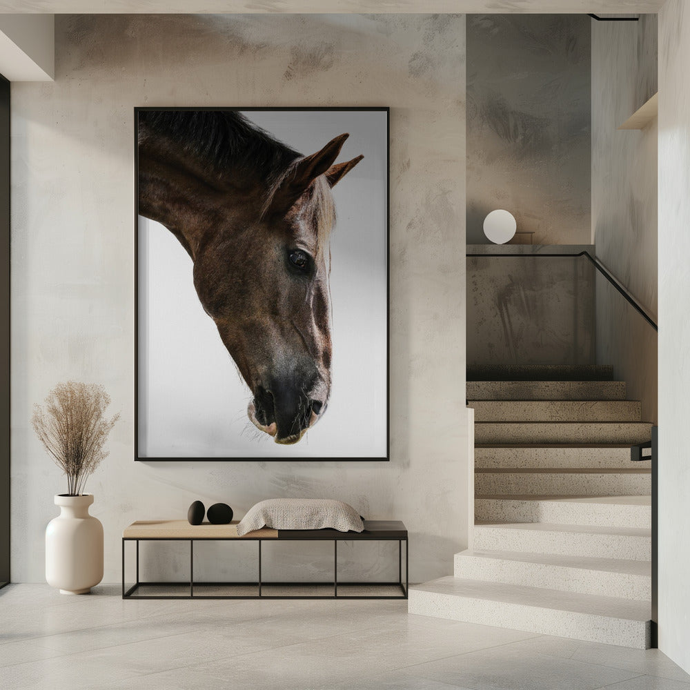 Majestic Equine Gaze | Poster