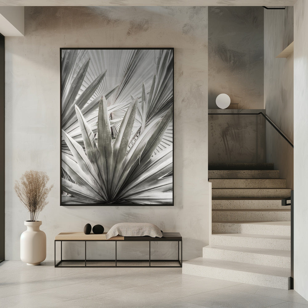 Silver Fronds | Poster