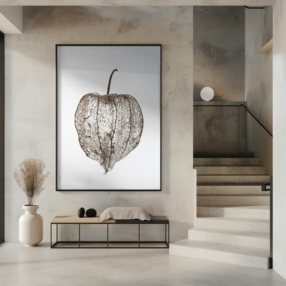 Fragile Nature&#039;s Veil | Poster