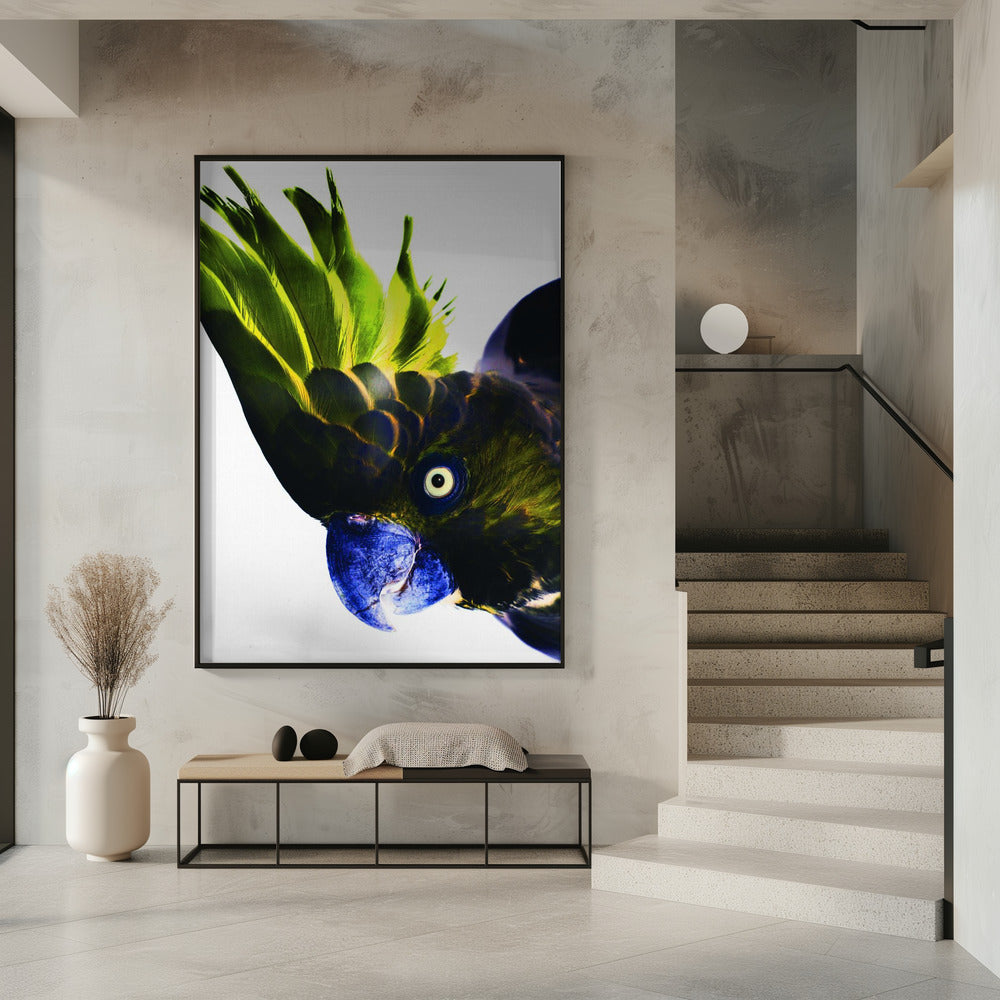 Vivid Bird Glance | Poster