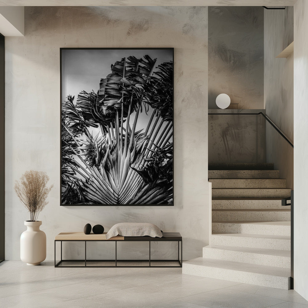 Tropical Dancer | Poster