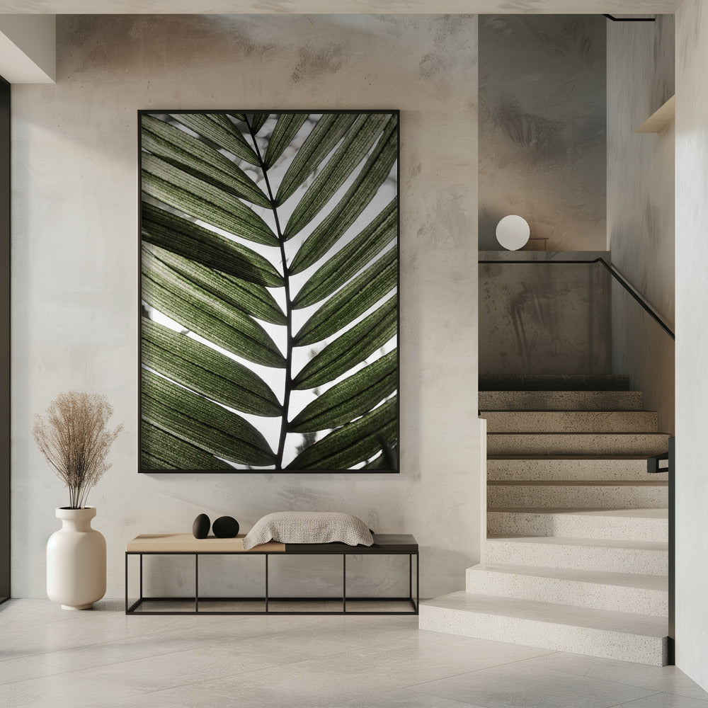 Palm Leaves 24 | Poster