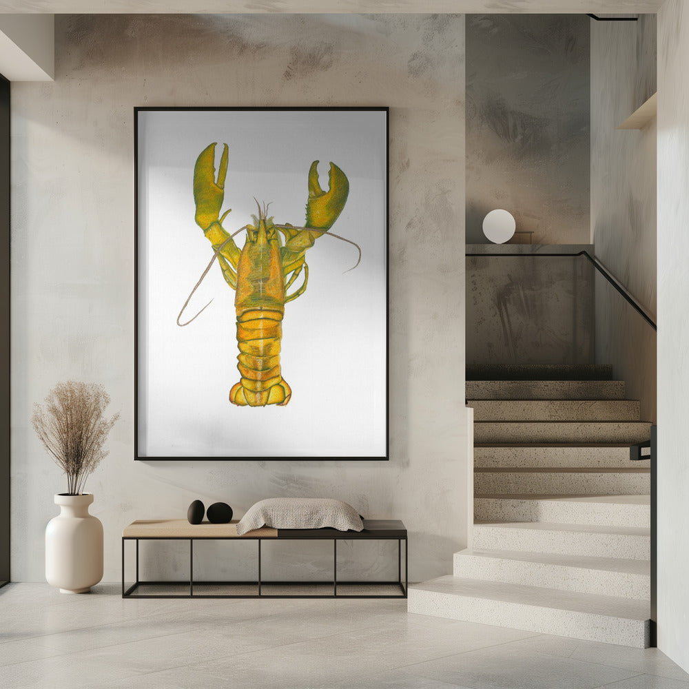 Lobster | Poster