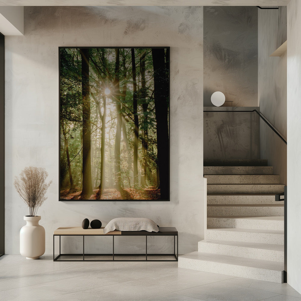 Sunbeams through the forest | Poster