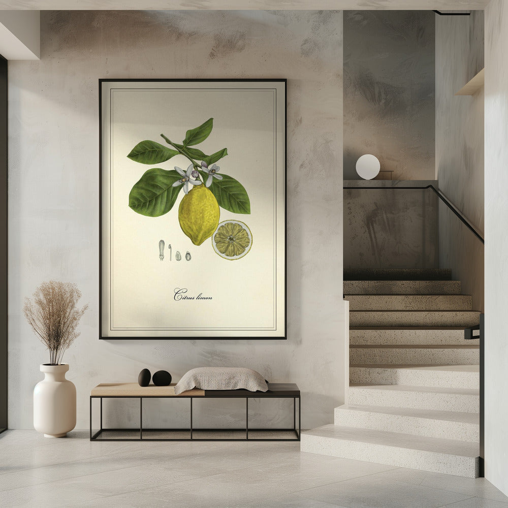Lemon | Poster