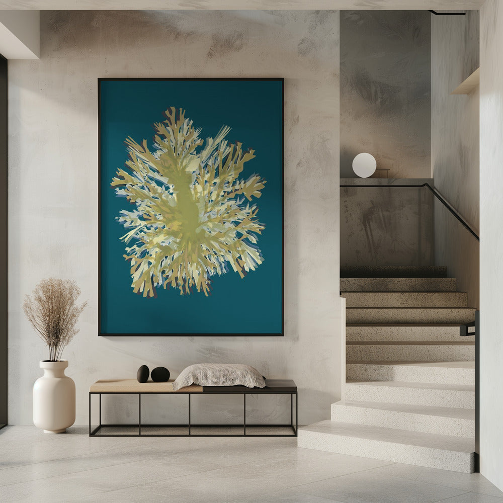 Seaweed  Poster 1 | Poster