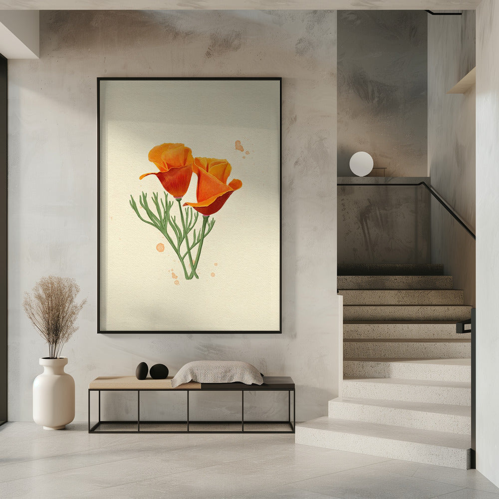 California Poppy | Poster