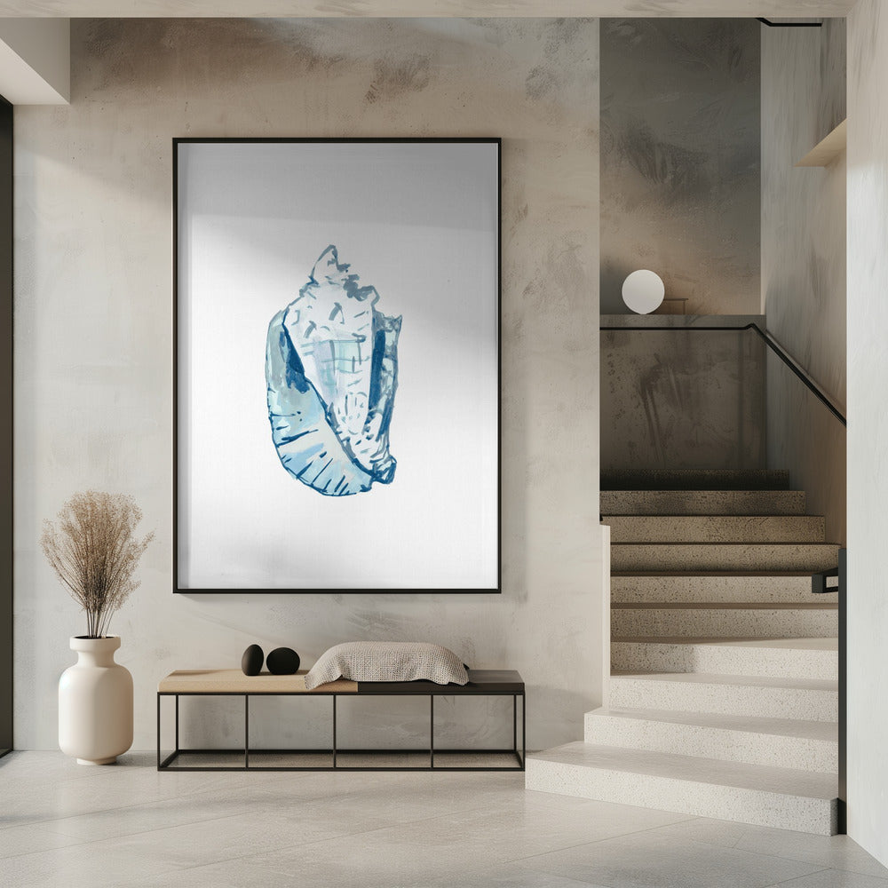 Blue Seashell On White Background No6 | Poster