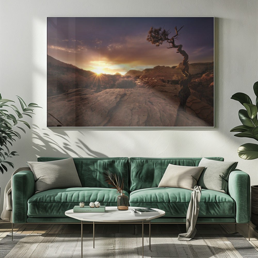 Distorted | Canvas