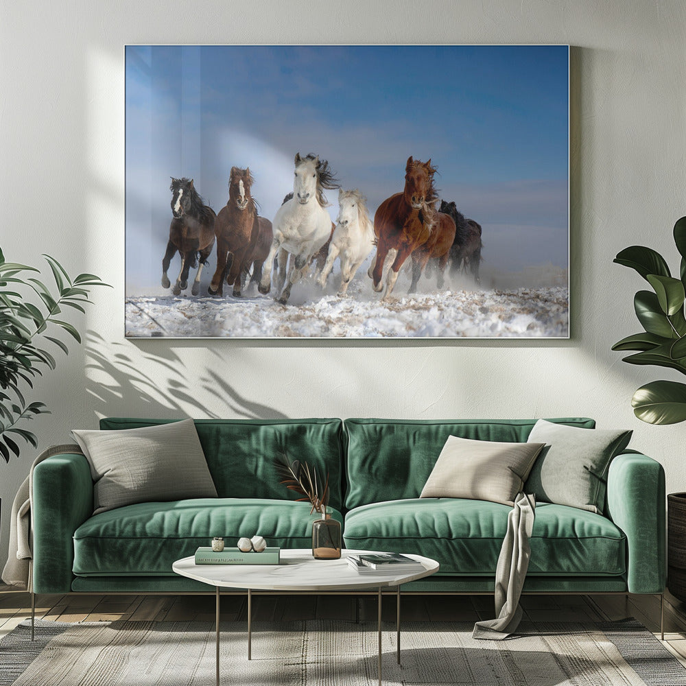 Mongolia Horses | Canvas