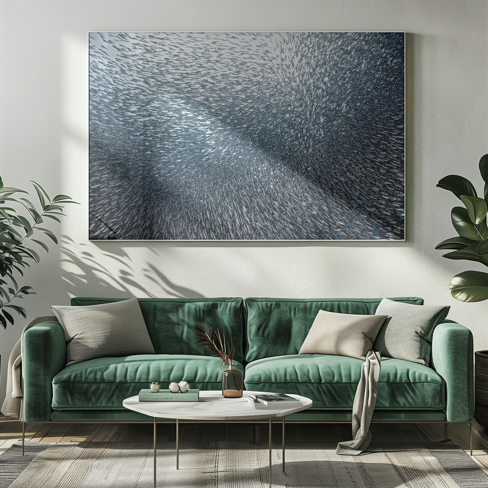 Sardines Firework | Canvas