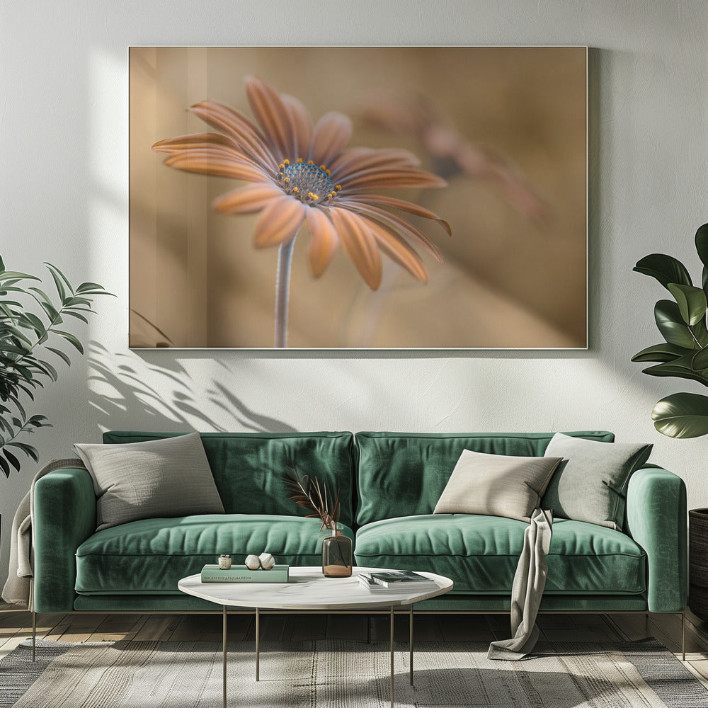 Summer glow | Canvas