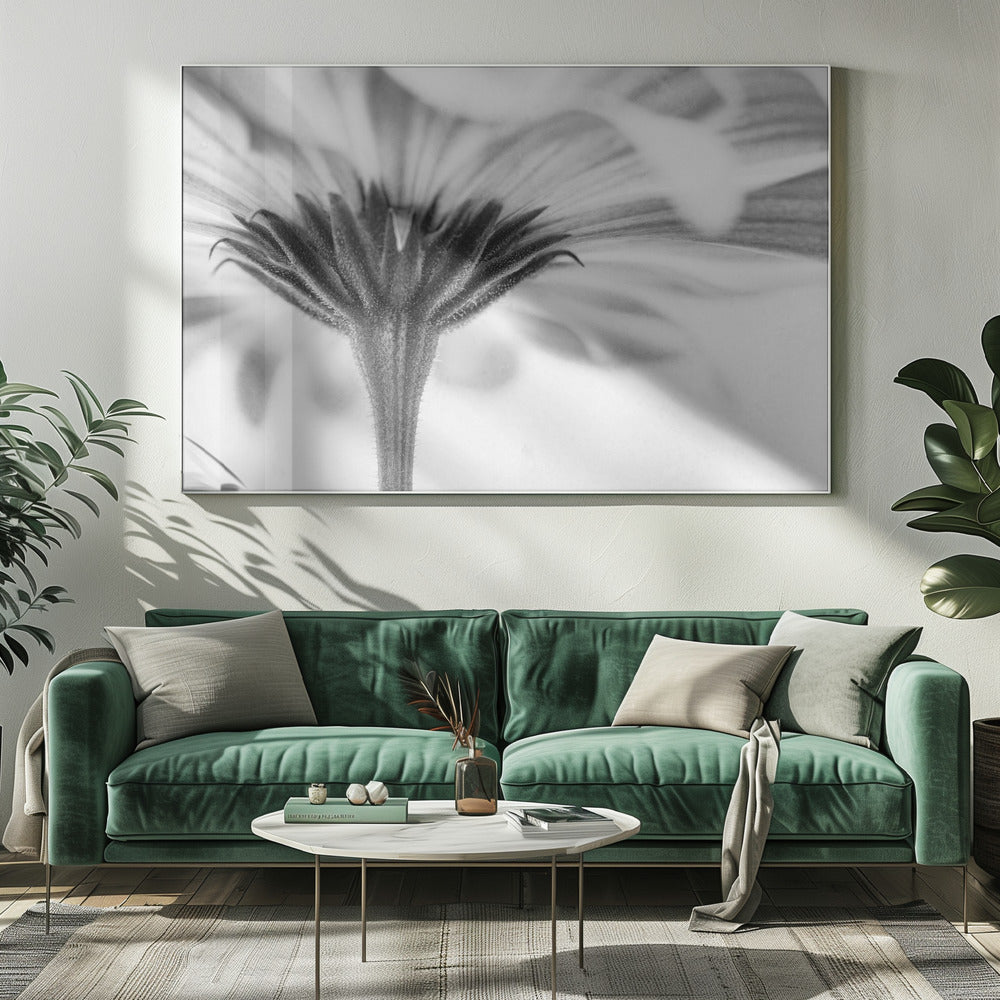 Touched | Canvas