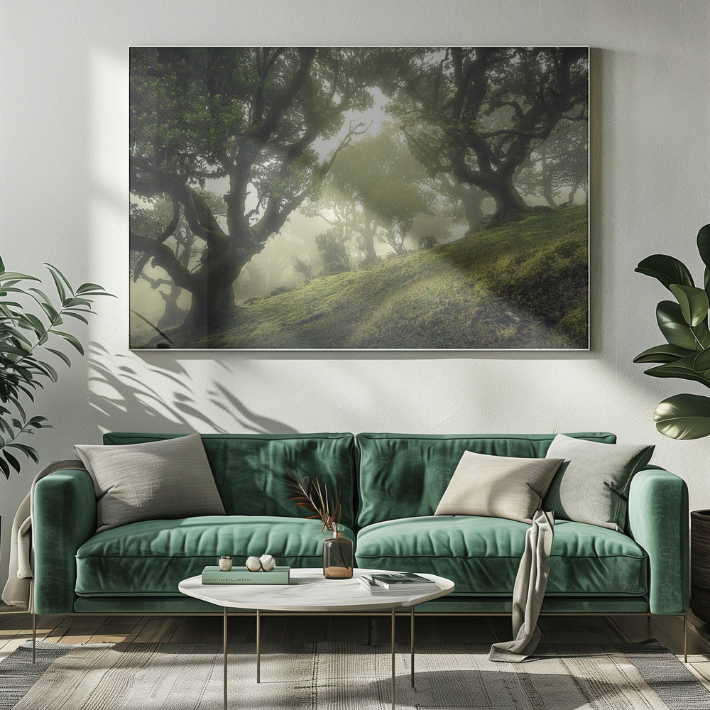 Enchanted Forest | Canvas