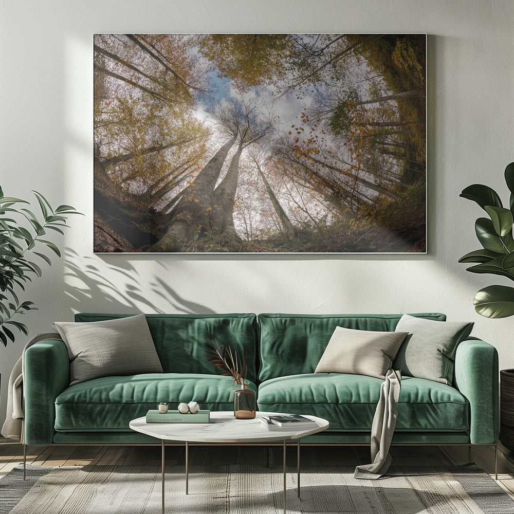 Forest | Canvas