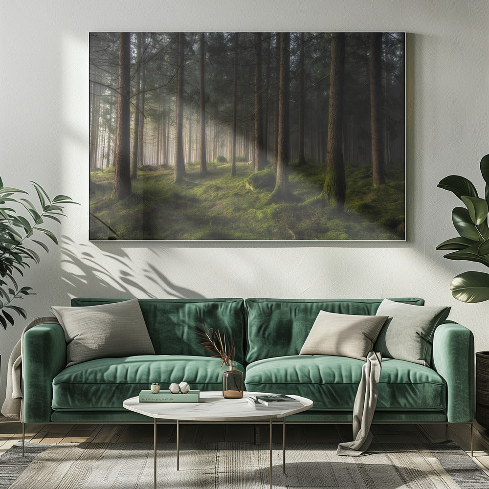 A sense of spring | Canvas