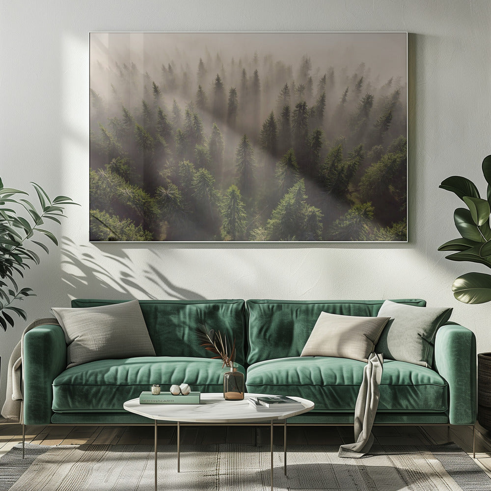 The Army of Firs | Canvas