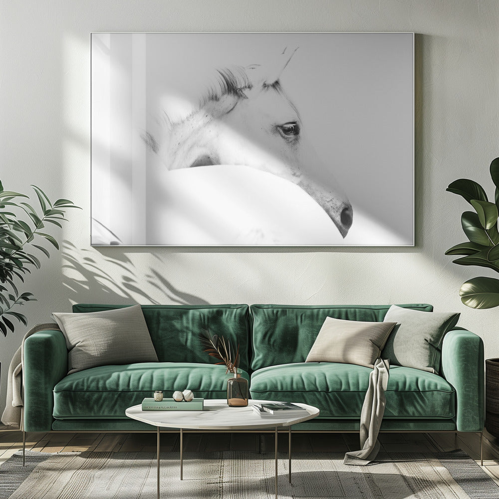horse and minimalism | Canvas