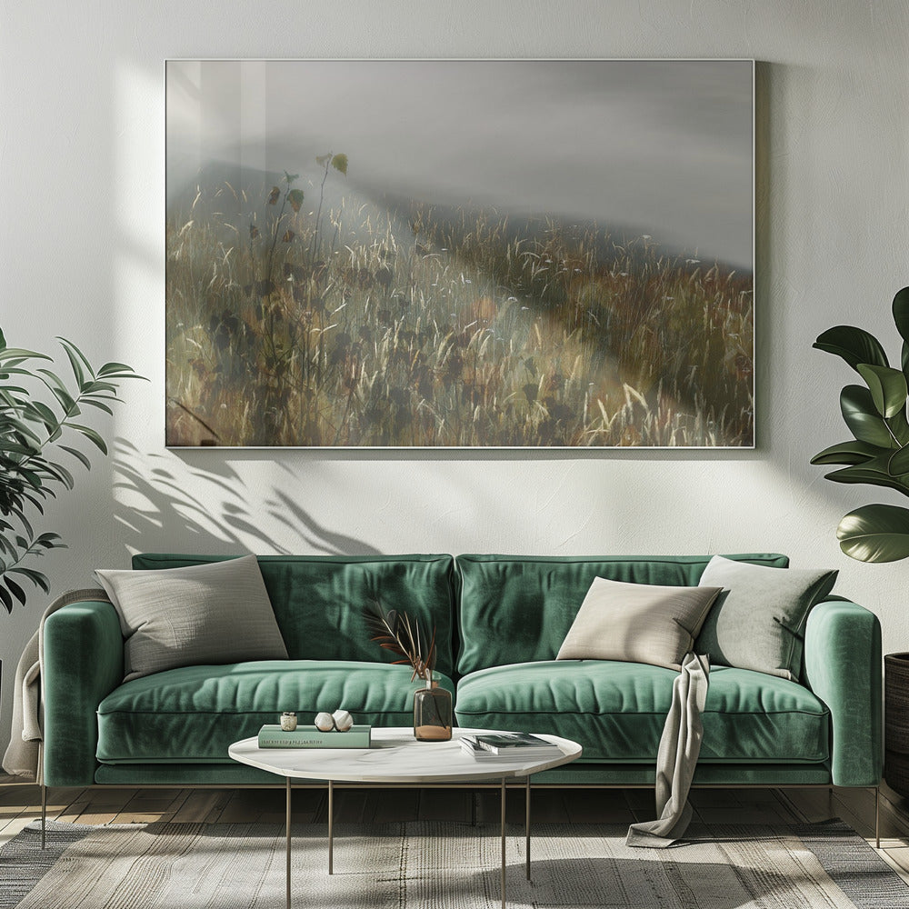In the field | Canvas