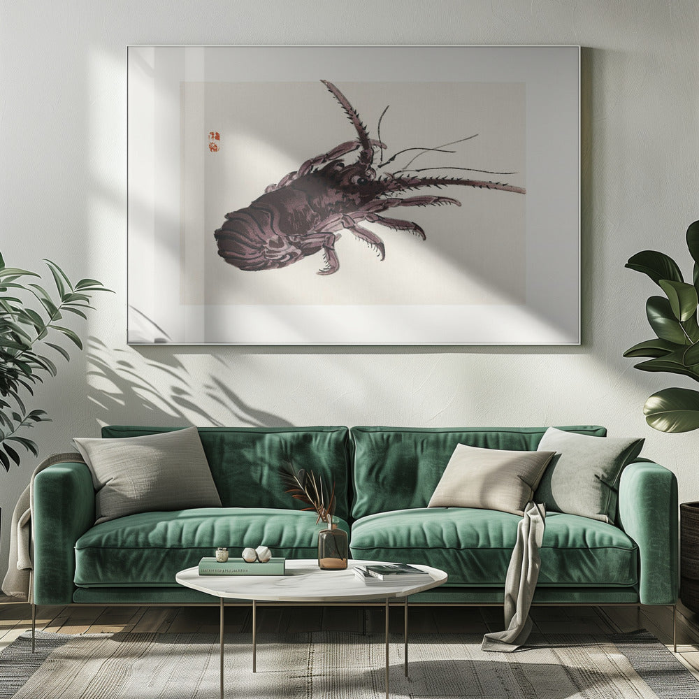 Crayfish | Canvas
