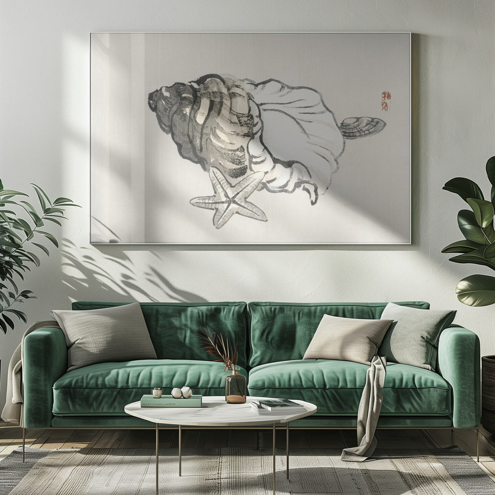 Star Fish and Conch | Canvas