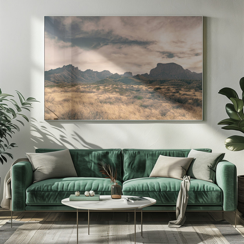 Isolation (1 of 1) | Canvas