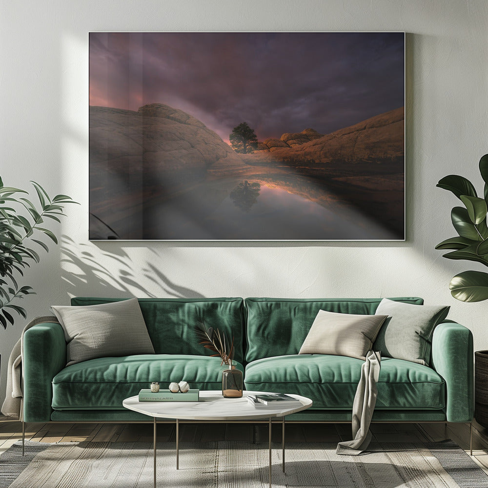 Morning Light | Canvas
