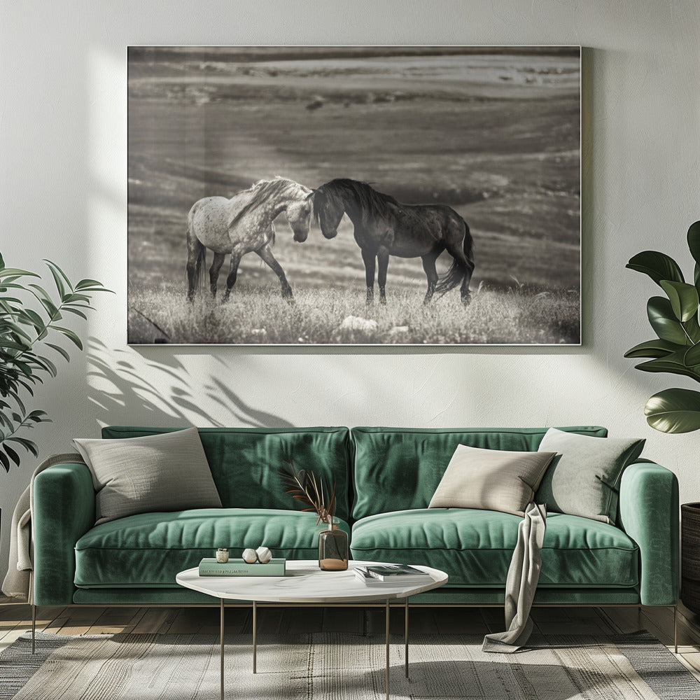 close encounter | Canvas