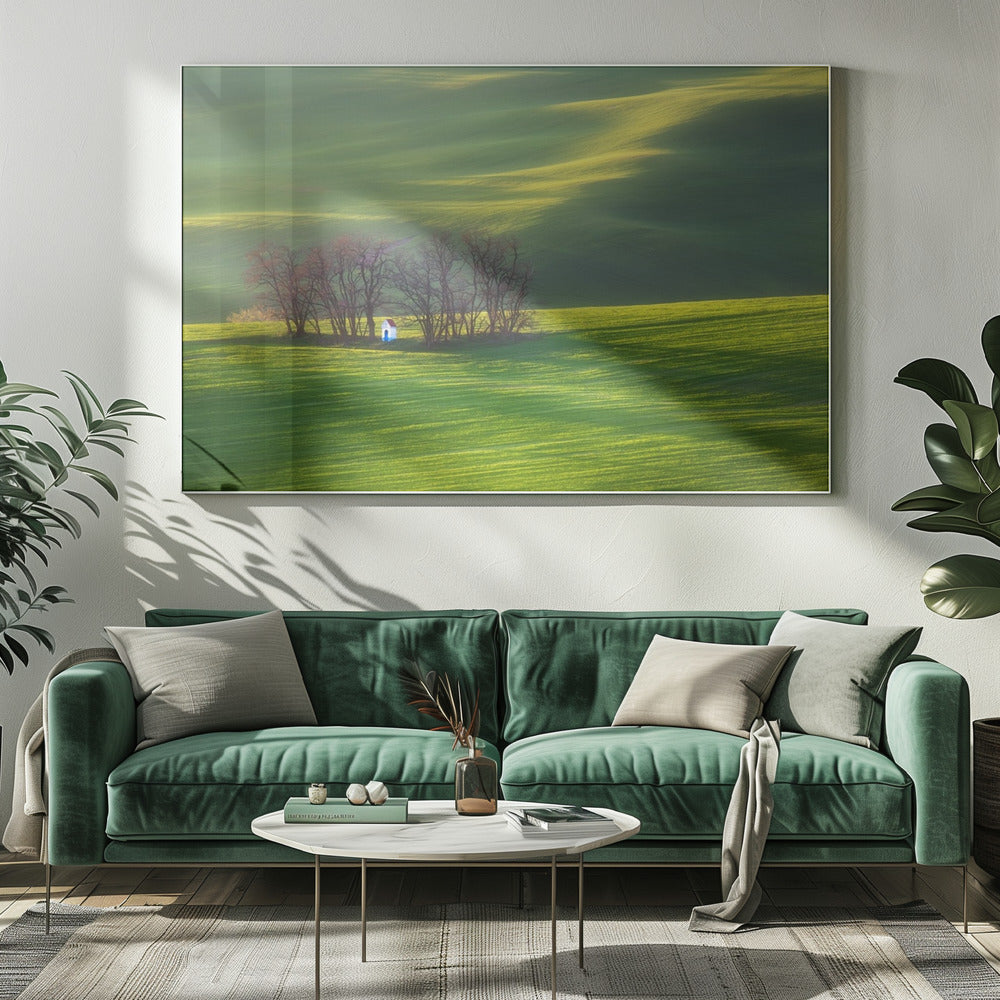 Fields... | Canvas