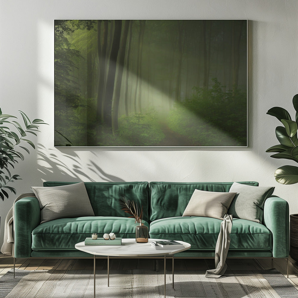 forest morning | Canvas