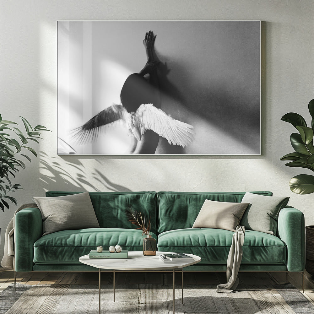 not fly | Canvas