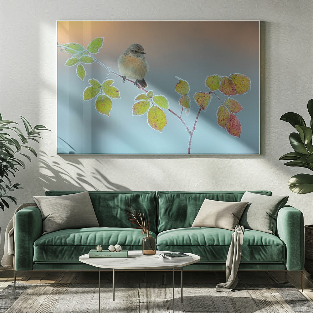Winter colors | Canvas