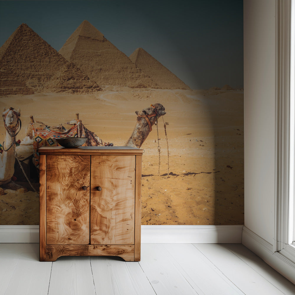 Visit to the pyramids | Wallpaper
