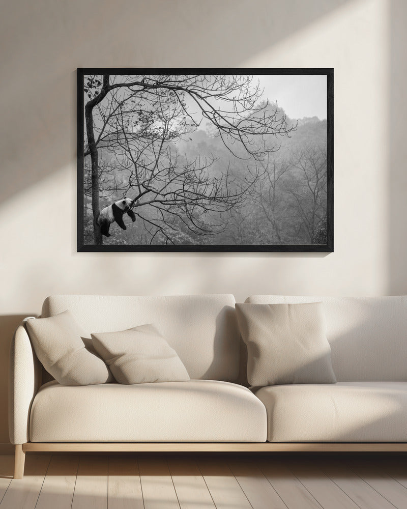 Relax | Canvas