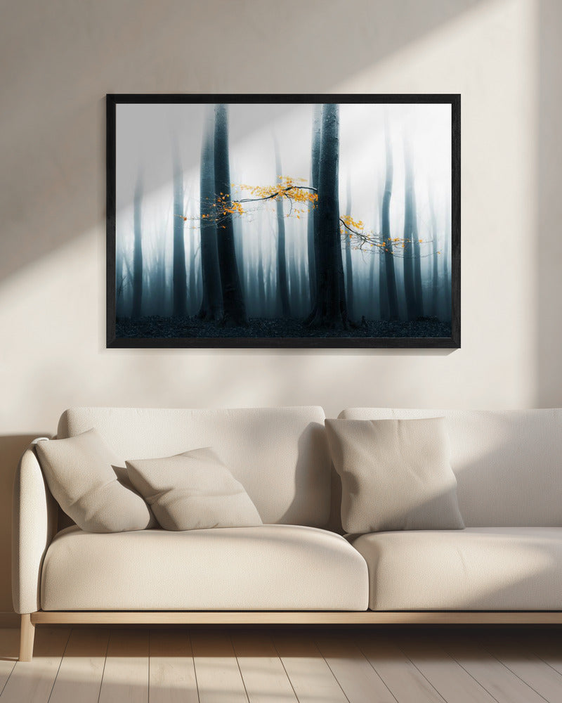Speulder Revisited | Canvas