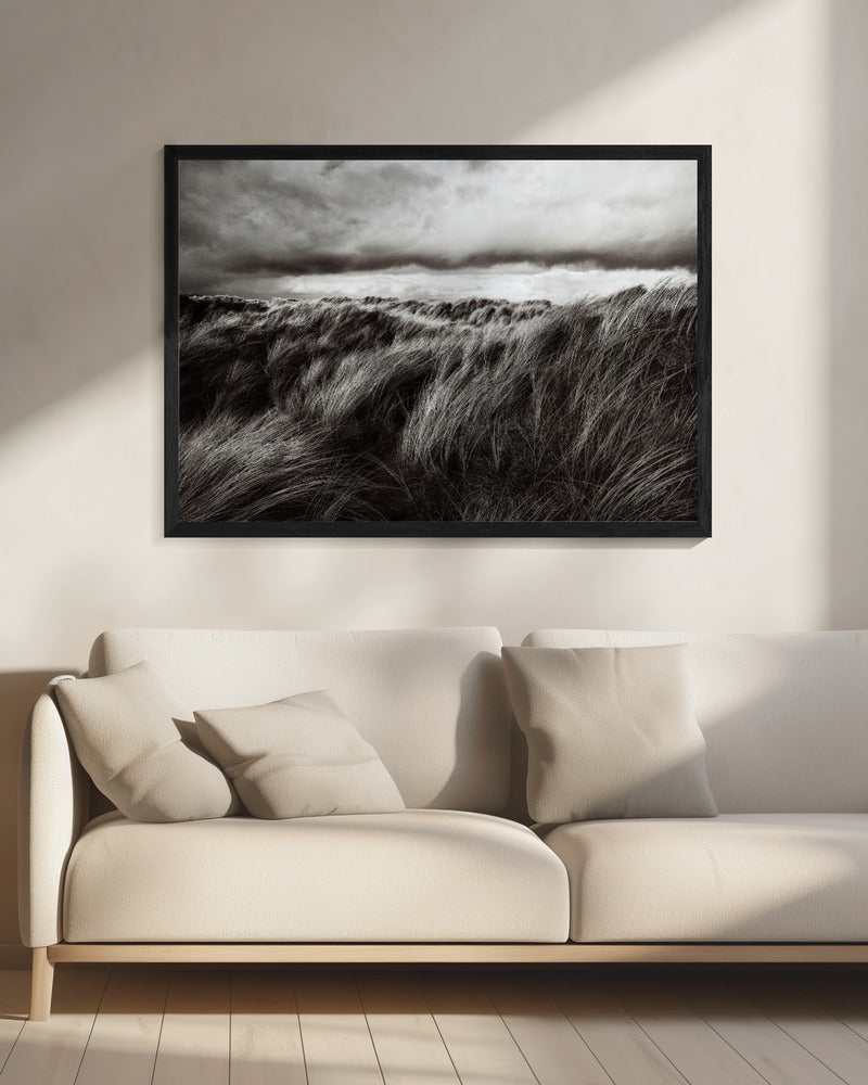 Dunes of grass | Canvas