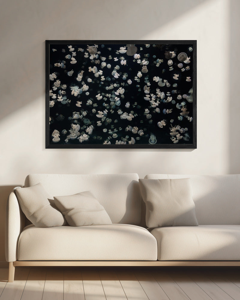 Just some Jellies | Canvas