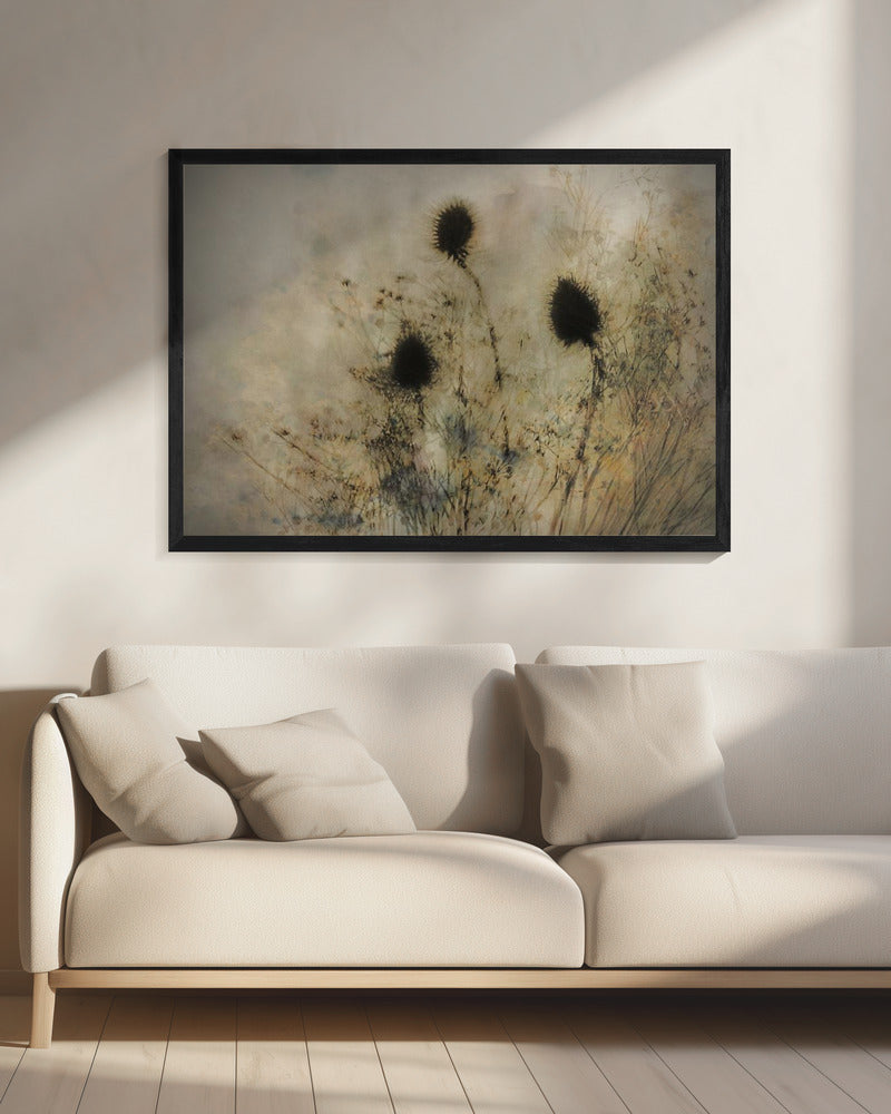 Seed boxes | Canvas