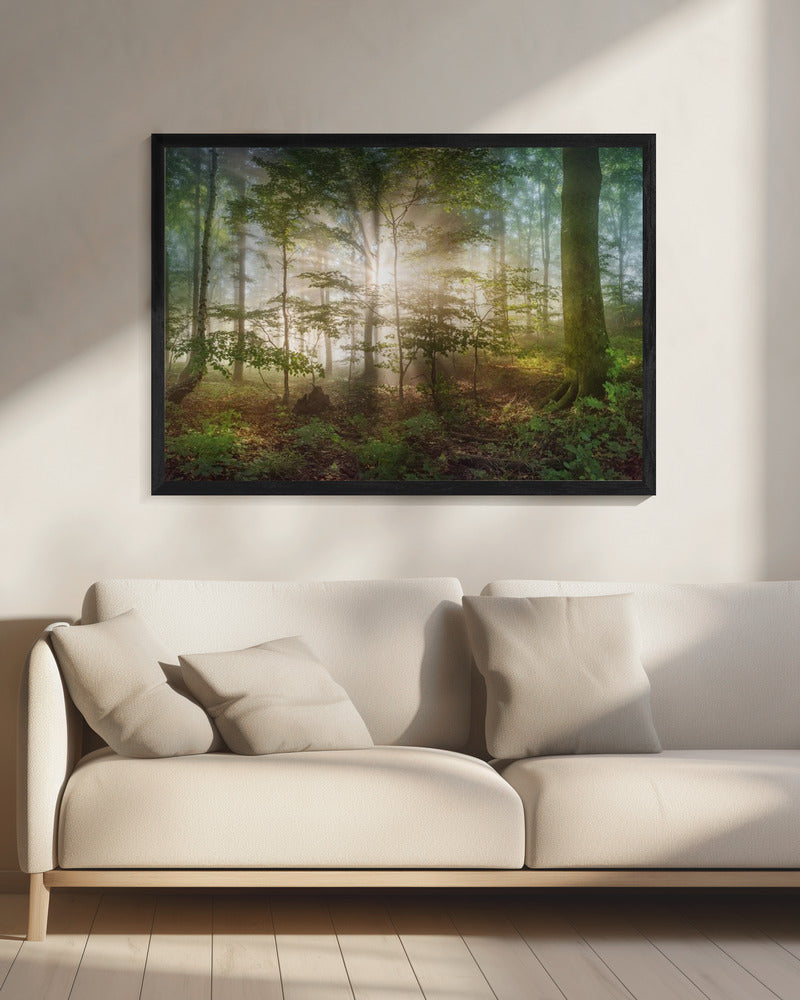 morning sun | Canvas