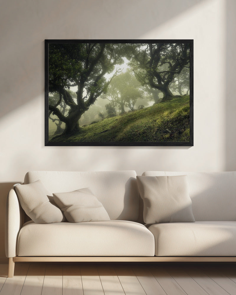 Enchanted Forest | Canvas